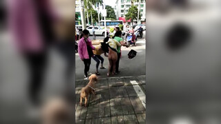 抓奸集锦-特精甄选第一现场街头扭打吃瓜围观 赤裸裸床上被逮还有被割屌的 各色良家女神狼狈瞬间 (333)